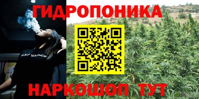 гашик Заводоуковск