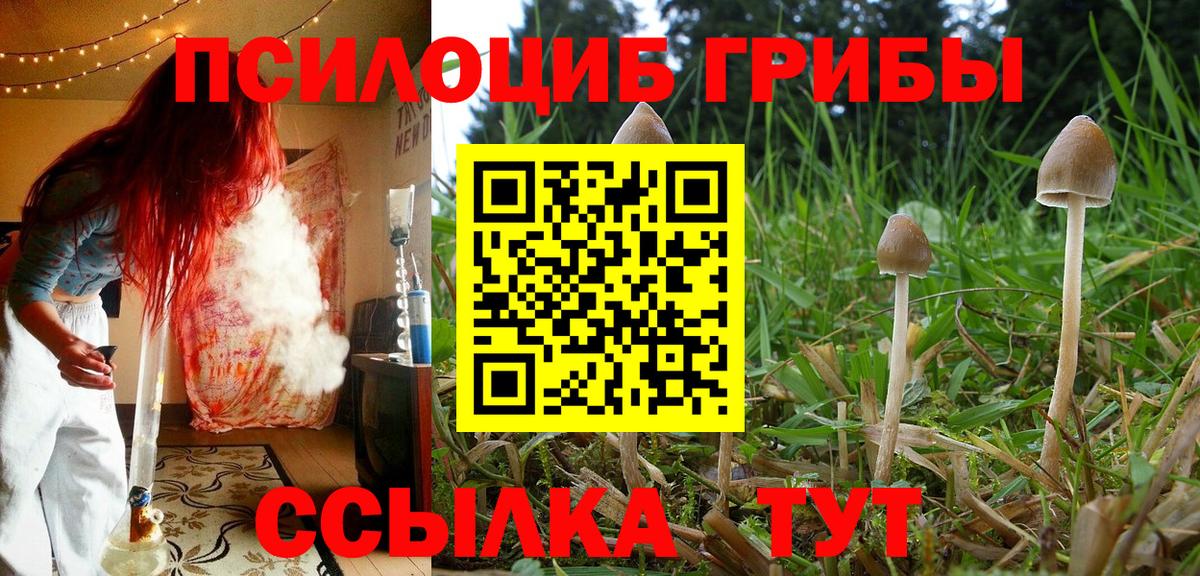 Псилоцибиновые грибы ЛСД  Галлюциногенные грибы мицелий  Вход с VPN  Курчалой 